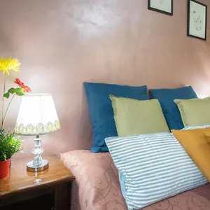 Bed & Breakfast Colorful Yard